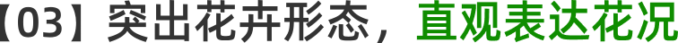 【03】突出花卉形态，直观表达花况